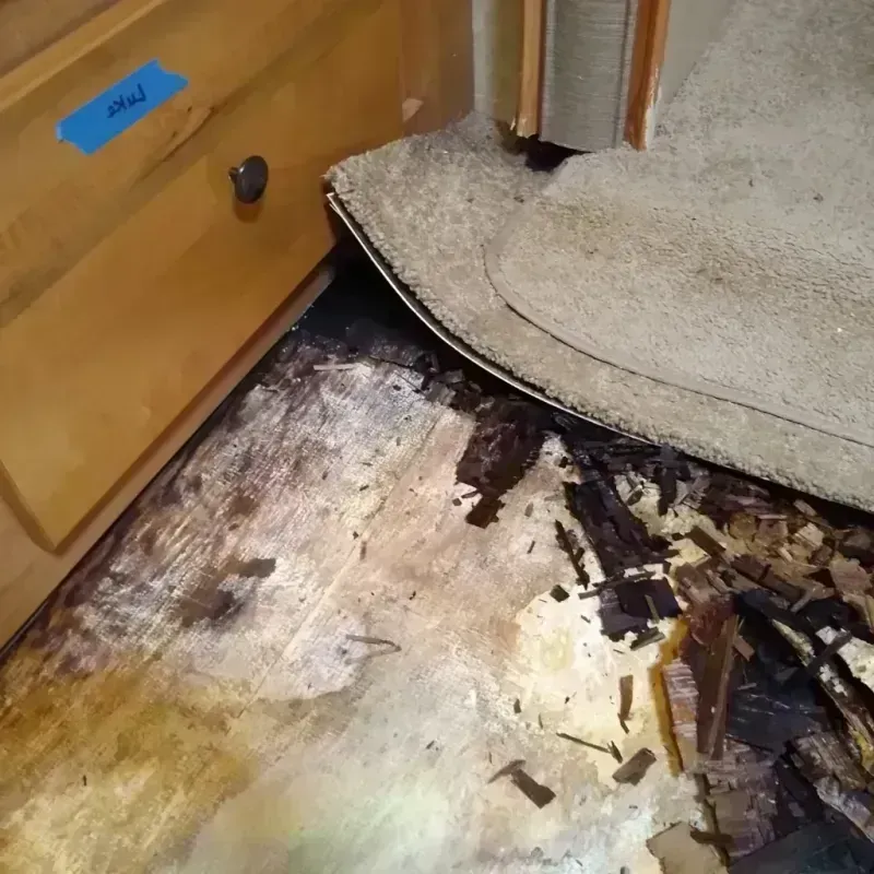 Best Wood Floor Water Damage Service in Benson County, ND